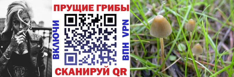 Галлюциногенные грибы Psilocybe  Радужный 